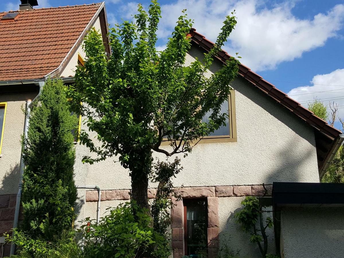 Am Kirchberg Kurort Steinbach-Hallenberg
